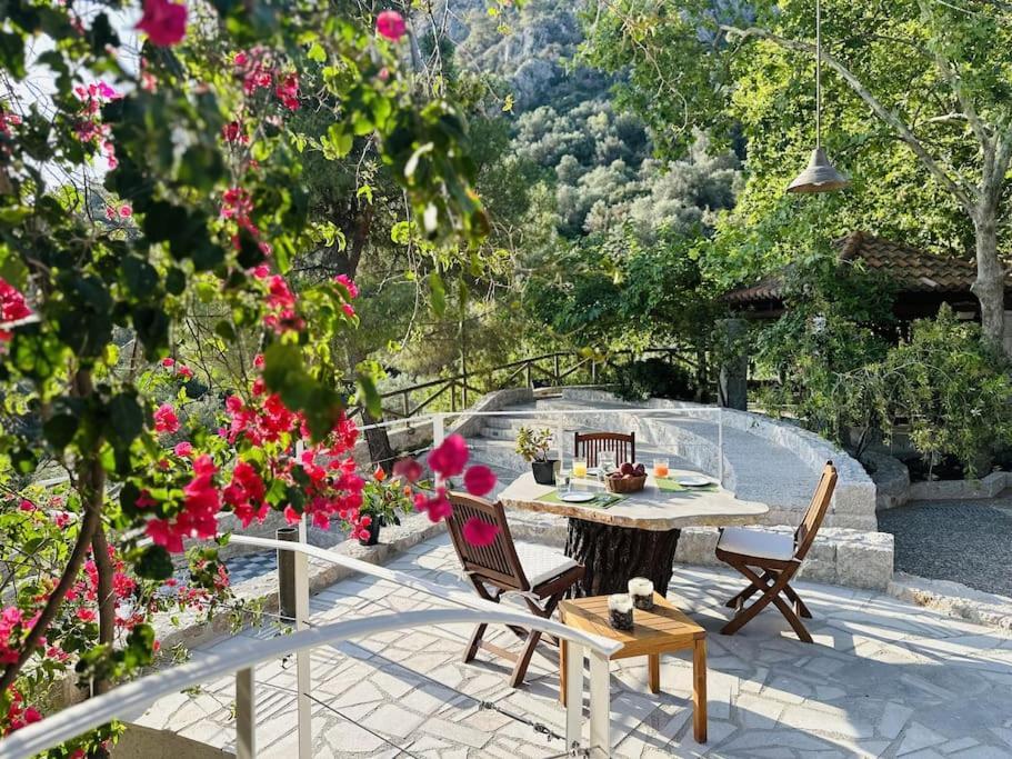 Elia Junior Suite In Epidavros With Shared Pool Nea Epidavros Exterior foto